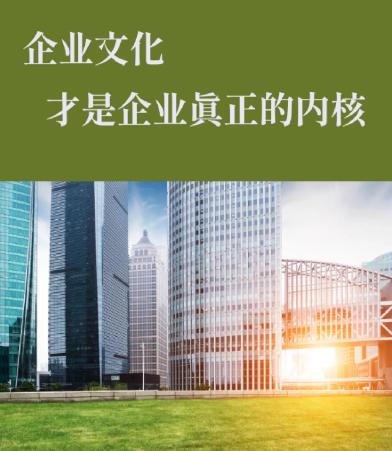 企业股权融资渠道对比：直接对接投资机构与财务顾问服务差异分析